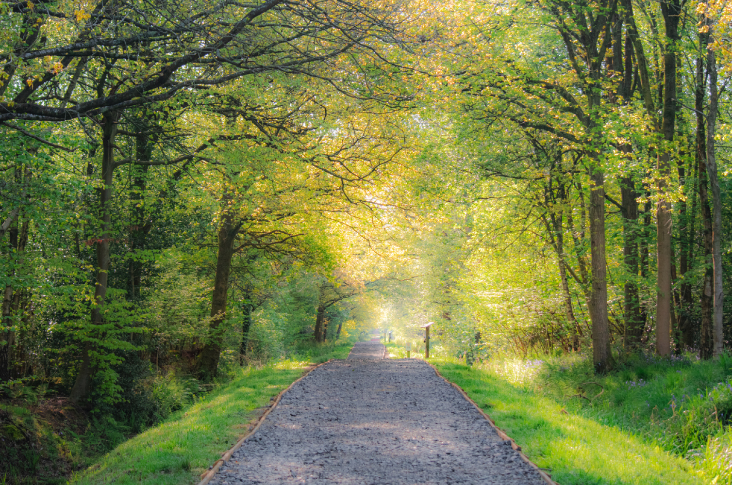 Woodland park in Worcestershire