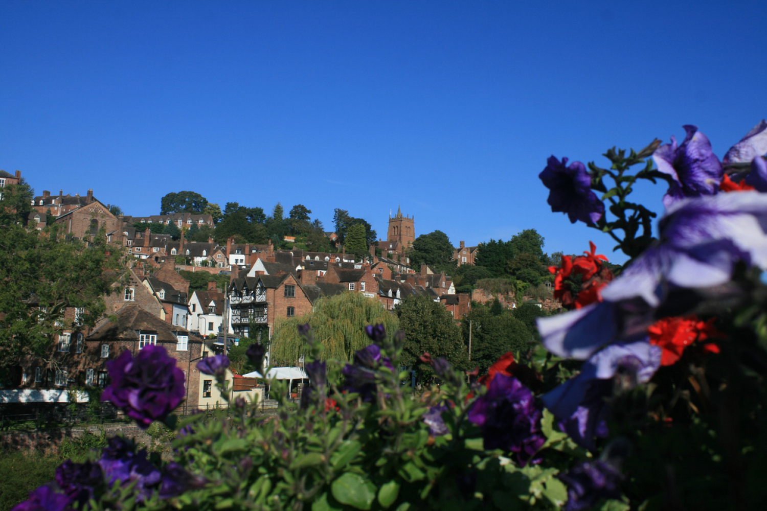 Bridgnorth Town View